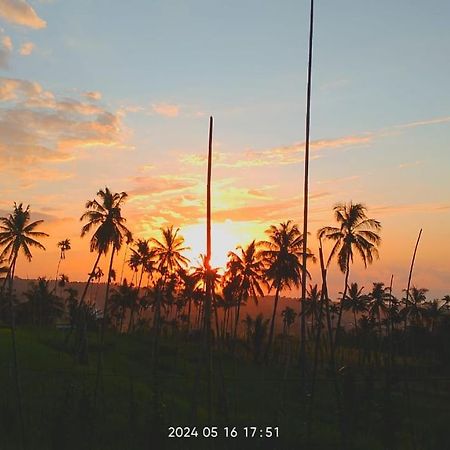 Blue Mountain Cottage 세나루 외부 사진