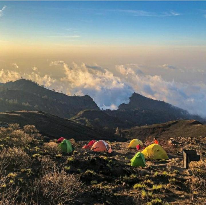 Blue Mountain Cottage 세나루 외부 사진