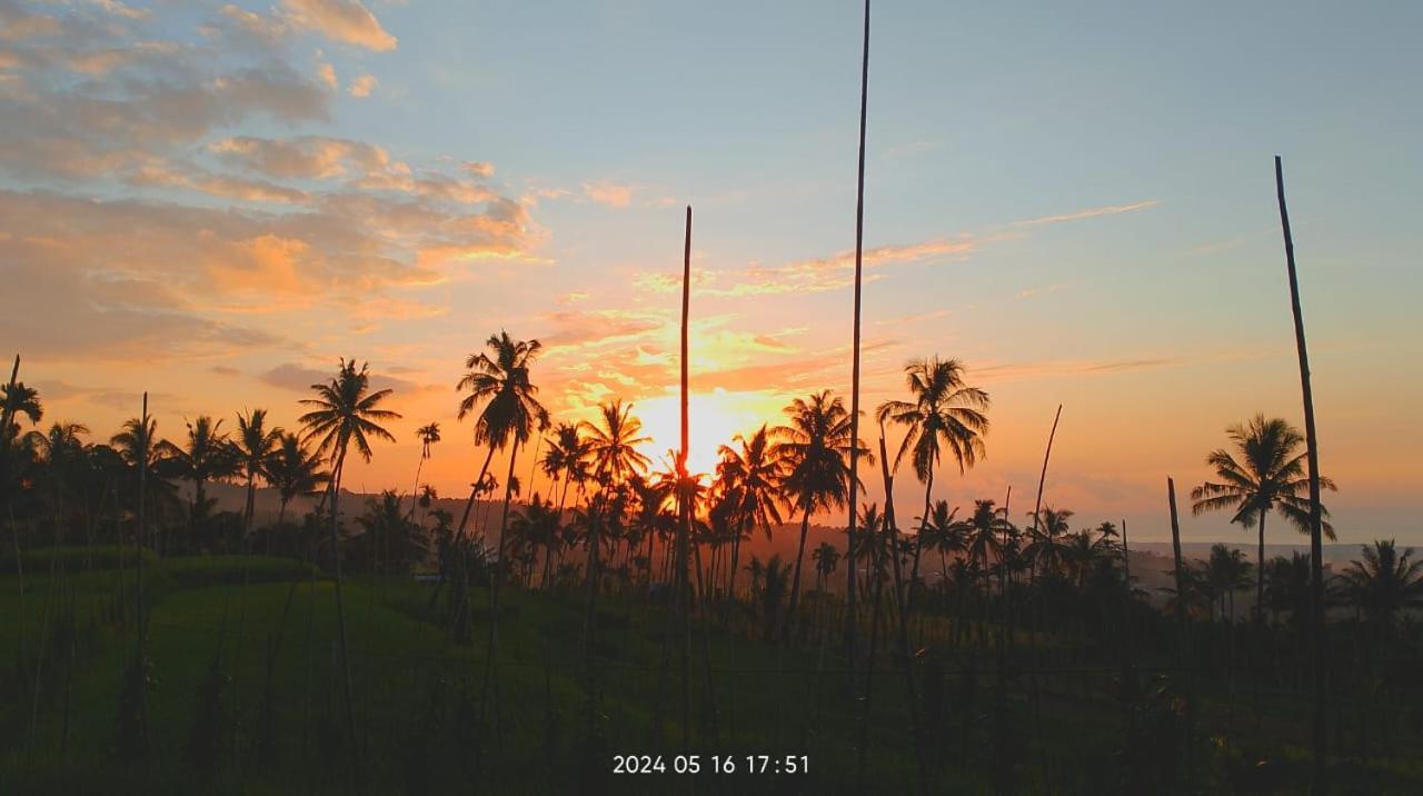 Blue Mountain Cottage 세나루 외부 사진
