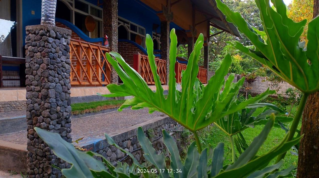 Blue Mountain Cottage 세나루 외부 사진