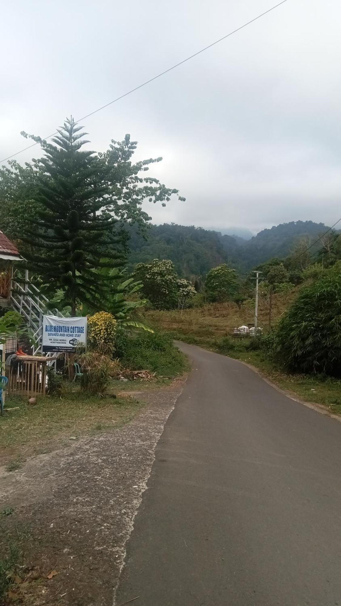 Blue Mountain Cottage 세나루 외부 사진