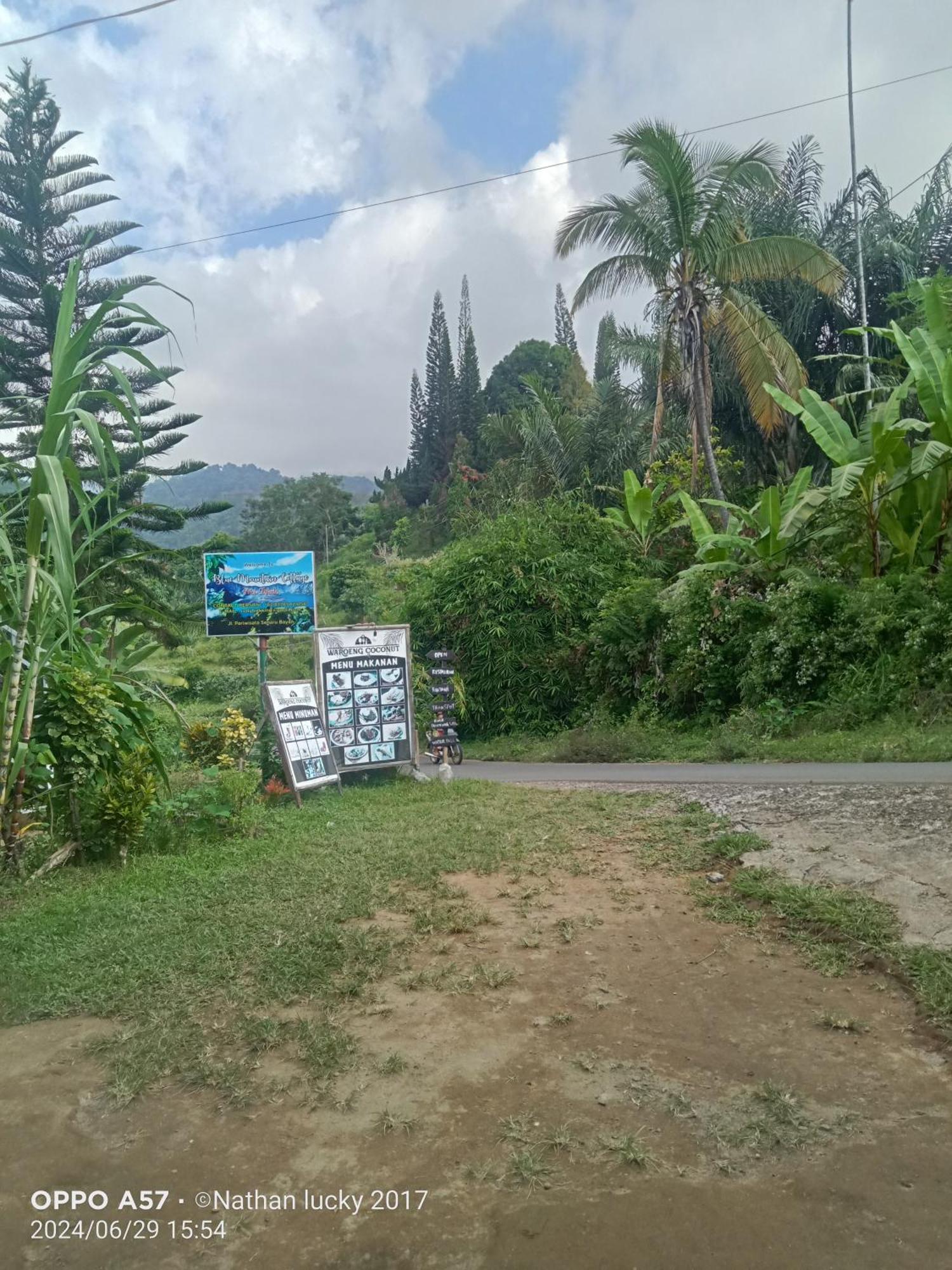Blue Mountain Cottage 세나루 외부 사진
