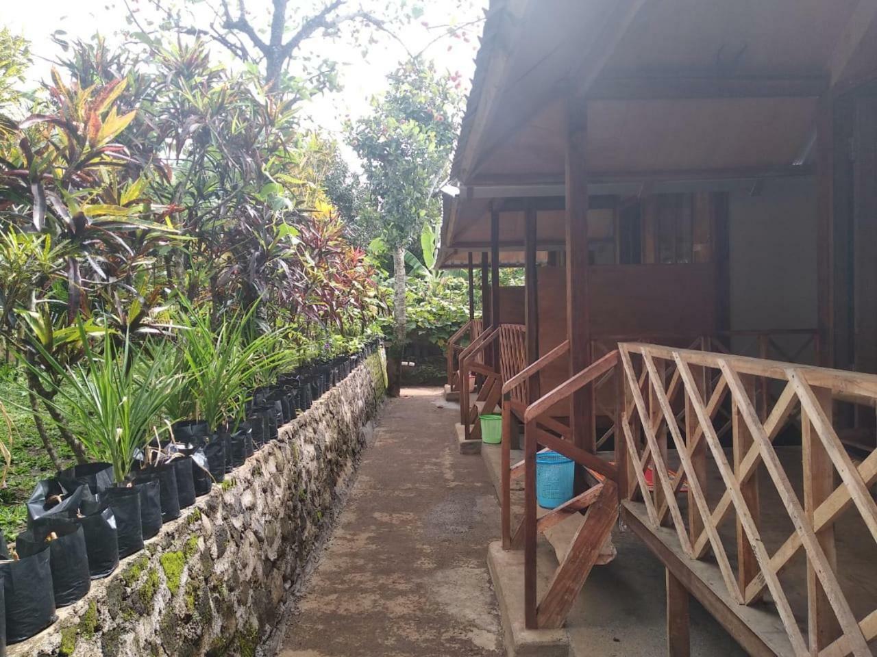 Blue Mountain Cottage 세나루 외부 사진
